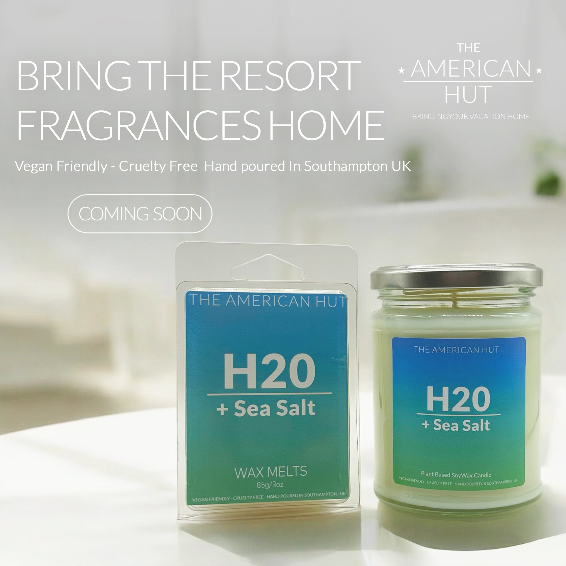 H20 + Sea Salt - Wax Melt
