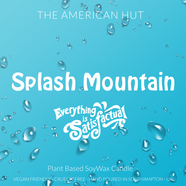 Splash Mountain Ride Fragrance Candles Wax Melts